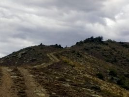 Cairnmuir Hill Track