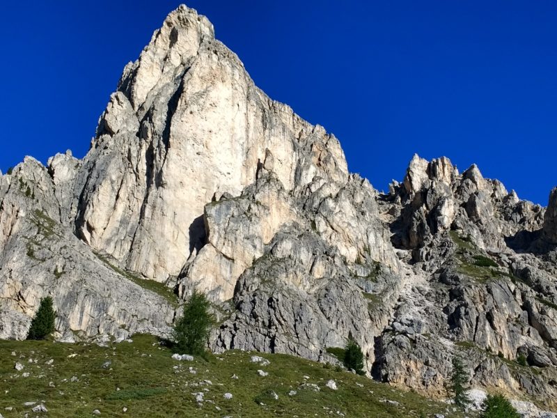 Illustrious Dolomite limestone