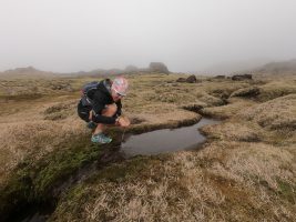 Icelandic Aid Station