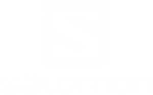 Salomon Logo White