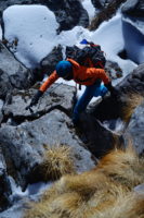 Moving Up ~ Mardi East