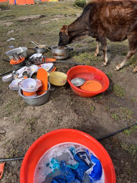 Helper of dishes at Nanga Base Camp