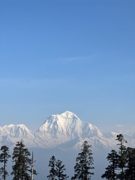 An eye on Dhaulagiri - a year after summiting (from Mohare Dhanada enroute to ABC)
