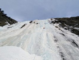 95c855e6-319e-4da2-9d70-17e10cbcc777 Copy