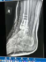 Modern Art ~ Feb 2024